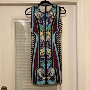 Clover Canyon “Tiger” Dress, Size: M